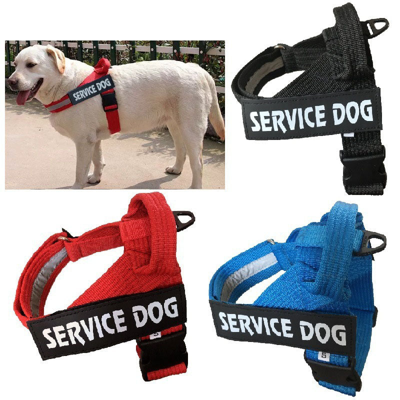 Harnais Ajustable pour Chien – Confortable, Toutes Tailles