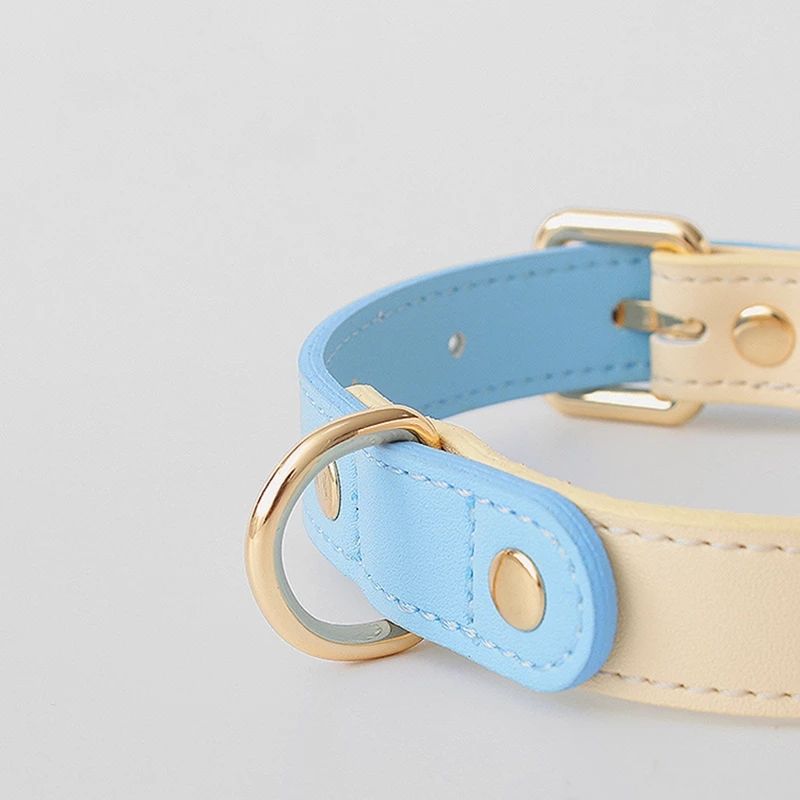Collier et Laisse en Cuir Véritable pour Chien et Chat
