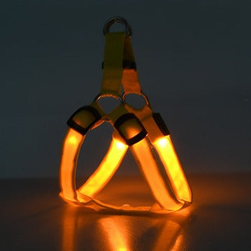 Harnais Poitrail Lumineux LED pour Chien – Visibilité Nocturne
