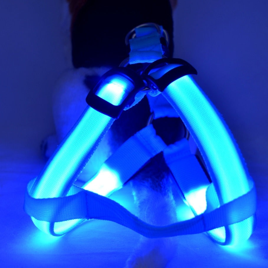 Harnais Poitrail Lumineux LED pour Chien – Visibilité Nocturne