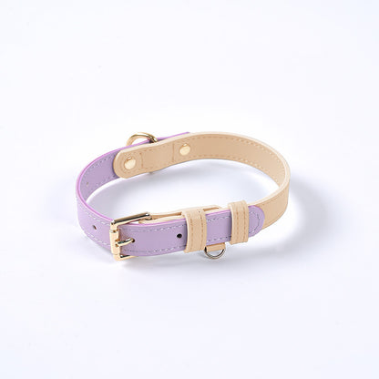 Collier et Laisse en Cuir Véritable pour Chien et Chat