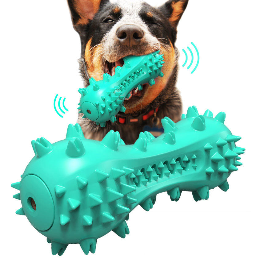 Jouet à Mâcher Dentaire pour Chien – Nettoie les Dents en Jouant