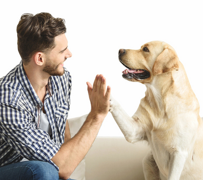 Sifflet Dresseur pour Chien avec Marqueur Sonore d'Entraînement