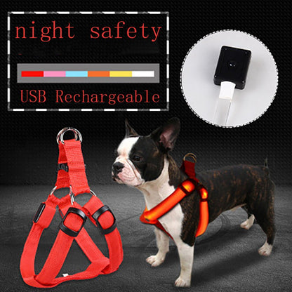 Harnais Poitrail Lumineux LED pour Chien – Visibilité Nocturne