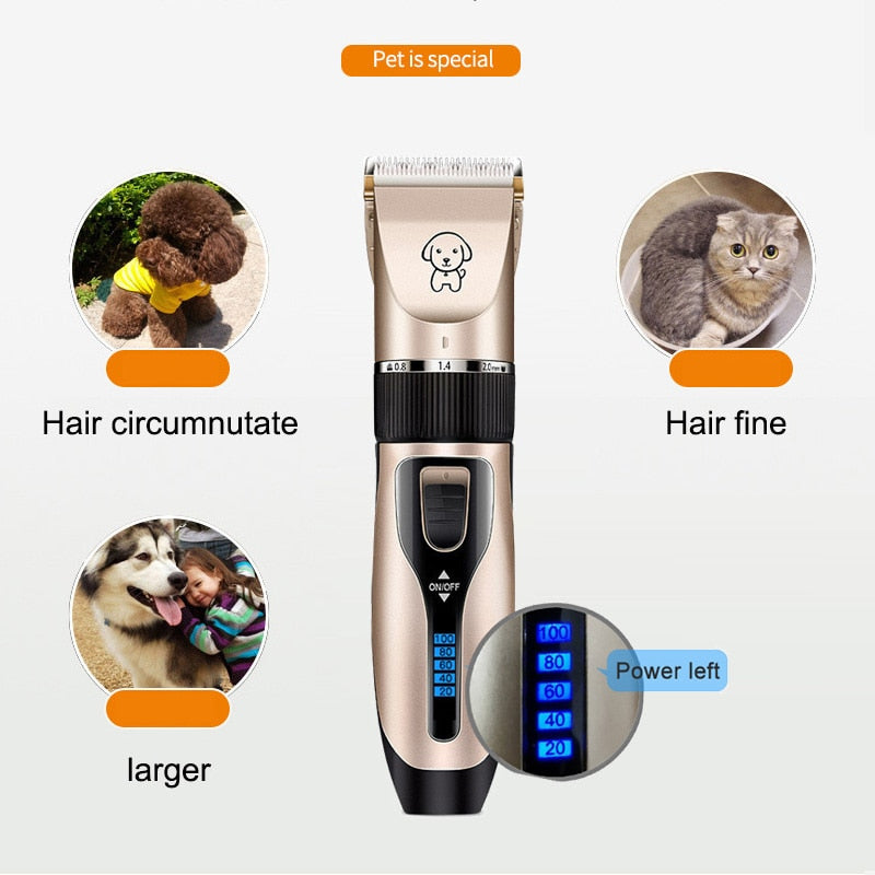 Tondeuse Chien Rechargeable USB – Silencieuse, Écran Batterie, Kit Toilettage Professionnel