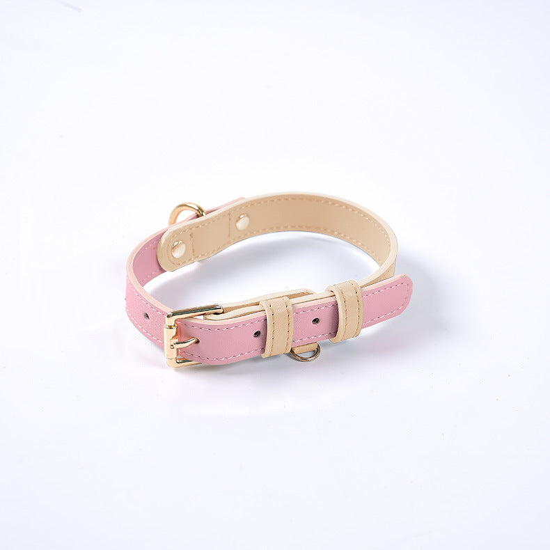 Collier et Laisse en Cuir Véritable pour Chien et Chat