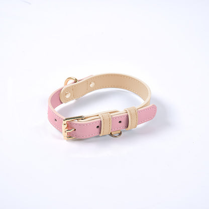 Collier et Laisse en Cuir Véritable pour Chien et Chat