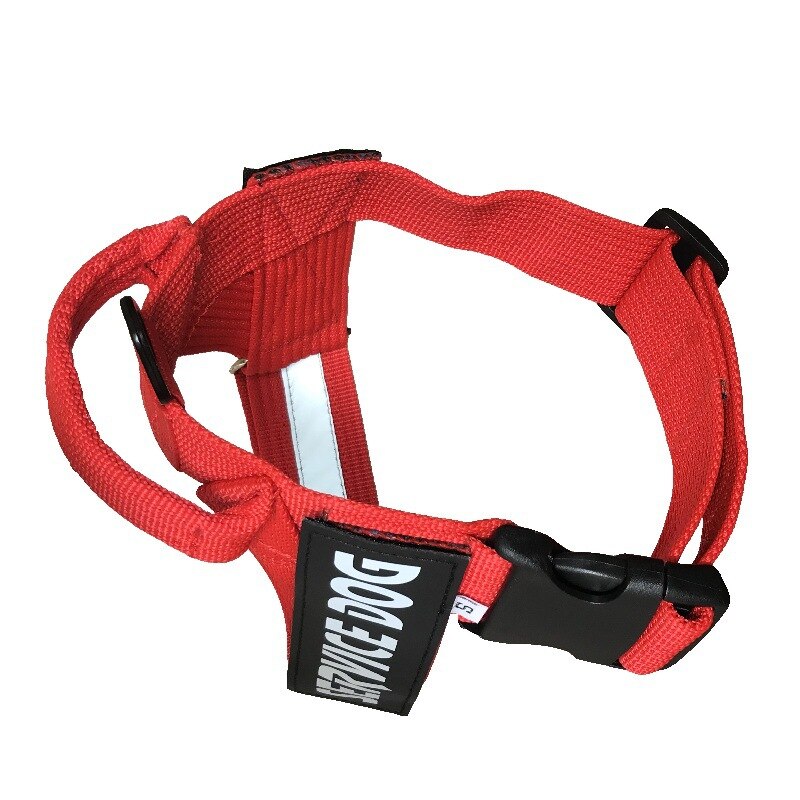 Harnais Ajustable pour Chien – Confortable, Toutes Tailles