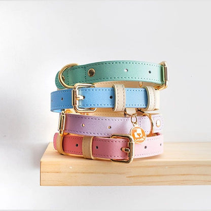 Collier et Laisse en Cuir Véritable pour Chien et Chat