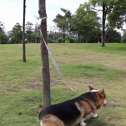 Laisse Réfléchissante Anti-Perte pour Chien – Poignée Ergonomique, jusqu'à 30kg