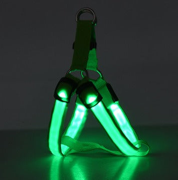 Harnais Poitrail Lumineux LED pour Chien – Visibilité Nocturne