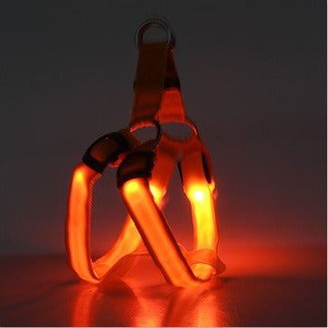 Harnais Poitrail Lumineux LED pour Chien – Visibilité Nocturne