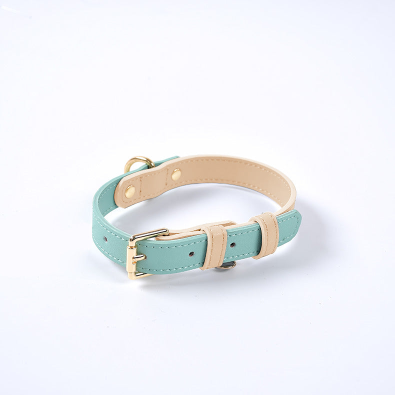 Collier et Laisse en Cuir Véritable pour Chien et Chat