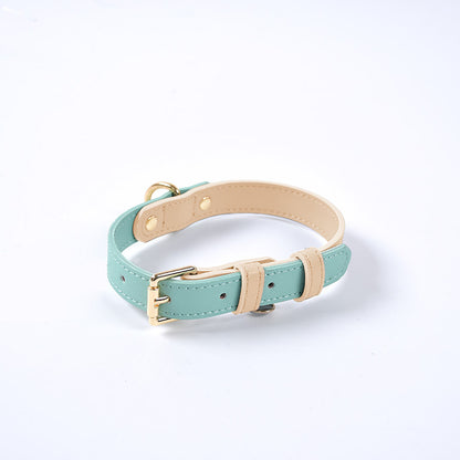 Collier et Laisse en Cuir Véritable pour Chien et Chat