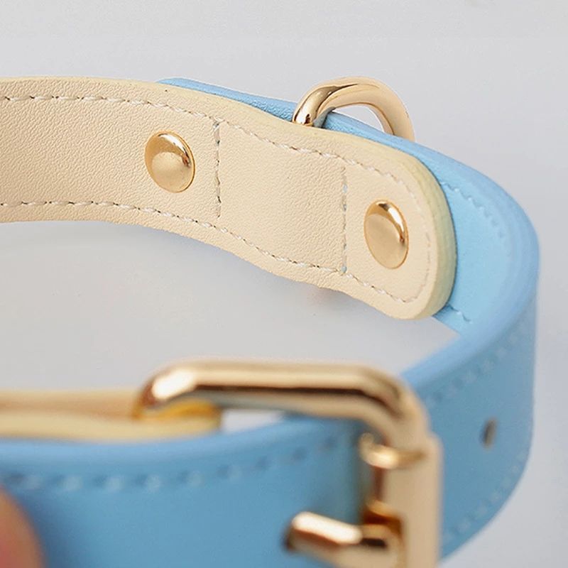Collier et Laisse en Cuir Véritable pour Chien et Chat