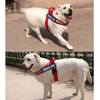 Harnais Ajustable pour Chien – Confortable, Toutes Tailles