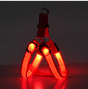 Harnais Poitrail Lumineux LED pour Chien – Visibilité Nocturne