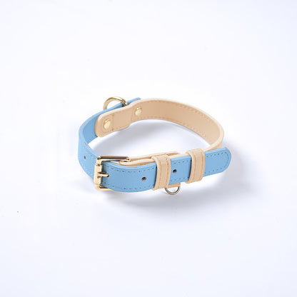 Collier et Laisse en Cuir Véritable pour Chien et Chat