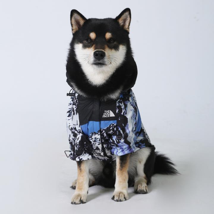 Manteau Coupe-Vent pour Chien – Imperméable, Léger et Confortable