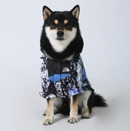 Manteau Coupe-Vent pour Chien – Imperméable, Léger et Confortable
