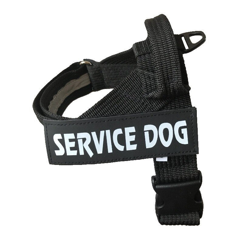 Harnais Ajustable pour Chien – Confortable, Toutes Tailles