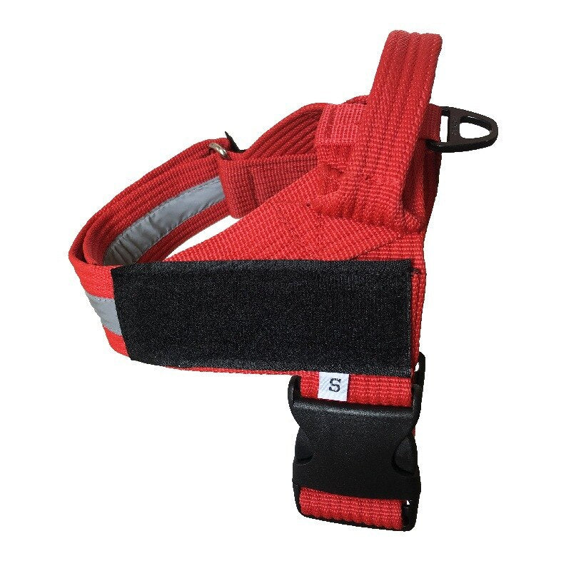 Harnais Ajustable pour Chien – Confortable, Toutes Tailles