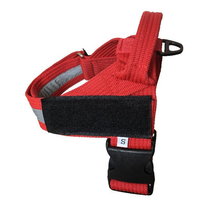 Harnais Ajustable pour Chien – Confortable, Toutes Tailles