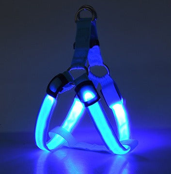 Harnais Poitrail Lumineux LED pour Chien – Visibilité Nocturne
