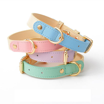 Collier et Laisse en Cuir Véritable pour Chien et Chat