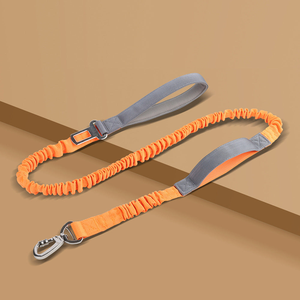 Laisse de Traction Réfléchissante pour Chien – Longueur Ajustable