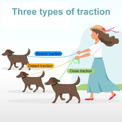Laisse de Traction Réfléchissante pour Chien – Longueur Ajustable