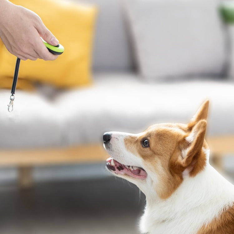 Sifflet Dresseur pour Chien avec Marqueur Sonore d'Entraînement